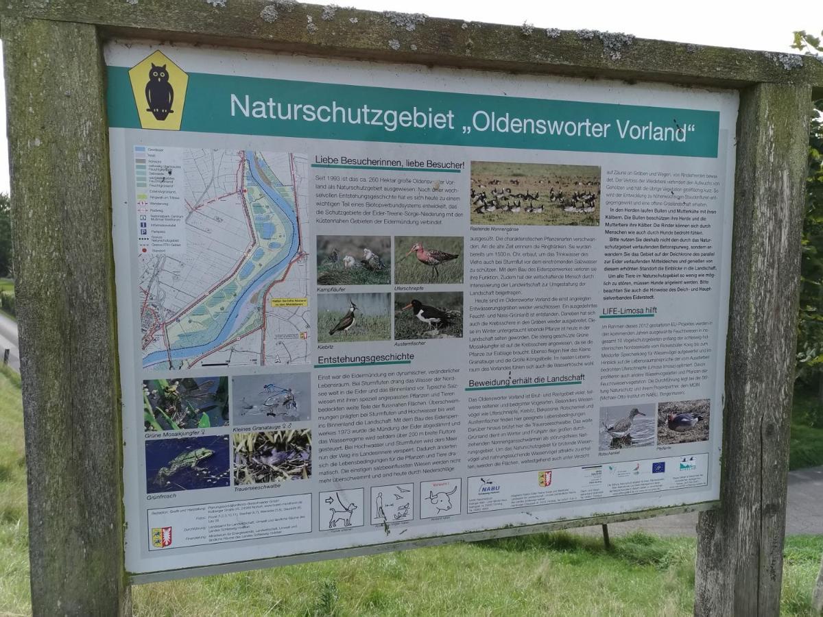 Gaestehaus Hemmerdeich-Alte Schule Oldenswort Esterno foto